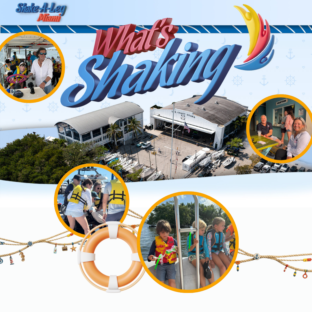 Shake misc square (34)